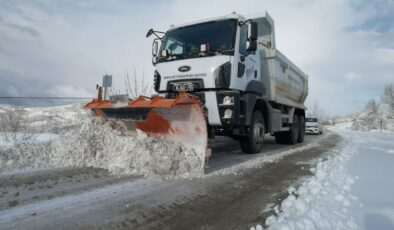 Karlı Yolları Aşıp Şifa Dağıttılar