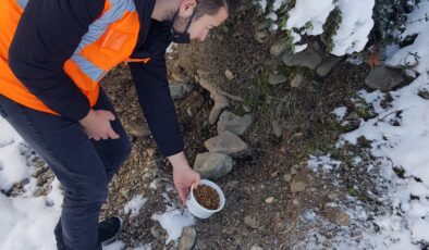 BTÜ öğrencileri sokak hayvanlarını unutmadı