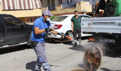 Sinek ve haşereyle mücadele sürüyor