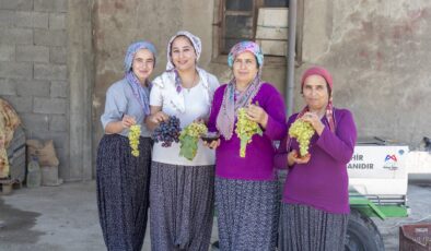 Üzüm sıkma makinesi hibesi üreticilerin yüzünü güldürüyor