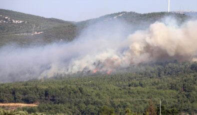 Manisa Soma’daki orman yangını kontrol altına alındı