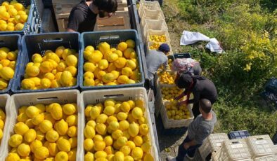 <strong>Şok Marketler deprem bölgesinde tarımı ve çiftçiyi destekliyor</strong>