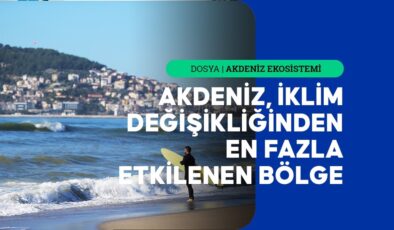 Akdeniz’de rekor kıran deniz suyu sıcaklığı kasırgalara yol açabilir