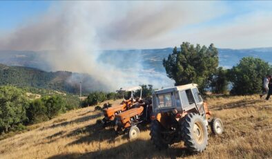 Bursa-Balıkesir il sınırında ormanlık alanda etkili olan yangına müdahale ediliyor