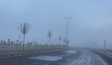 Edirne ve Tekirdağ’da yoğun sis etkili oldu